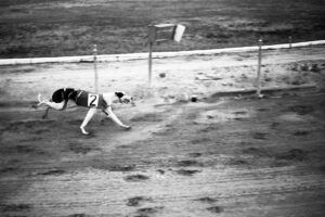 Carrera de Galgos