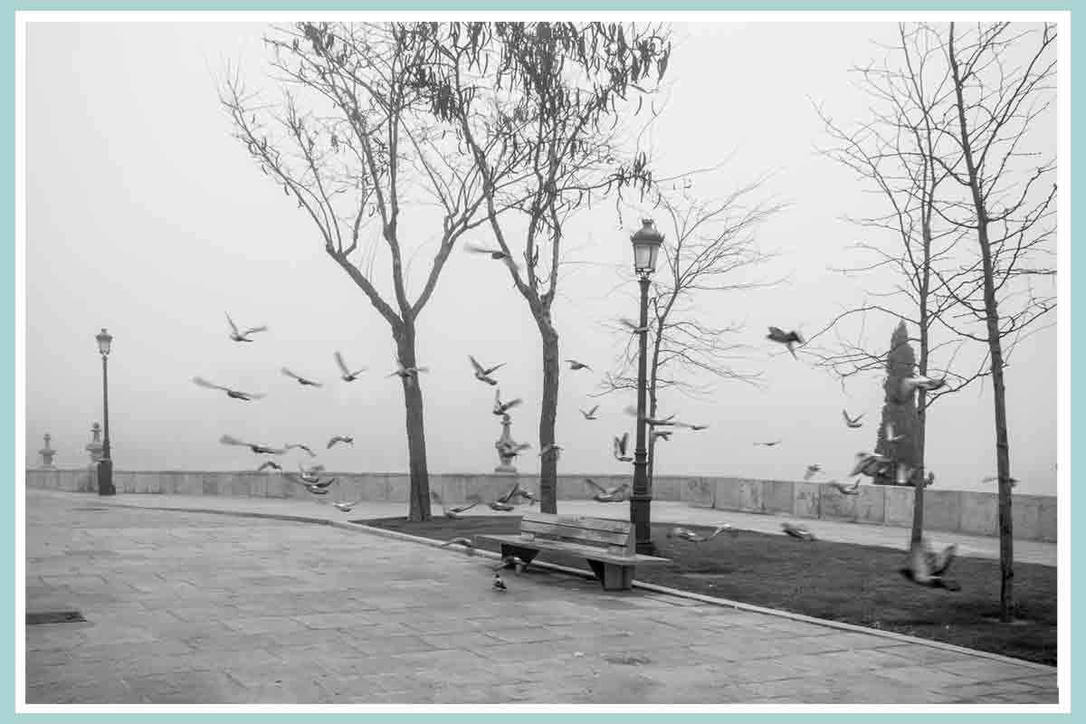 Niebla - Imagen 2