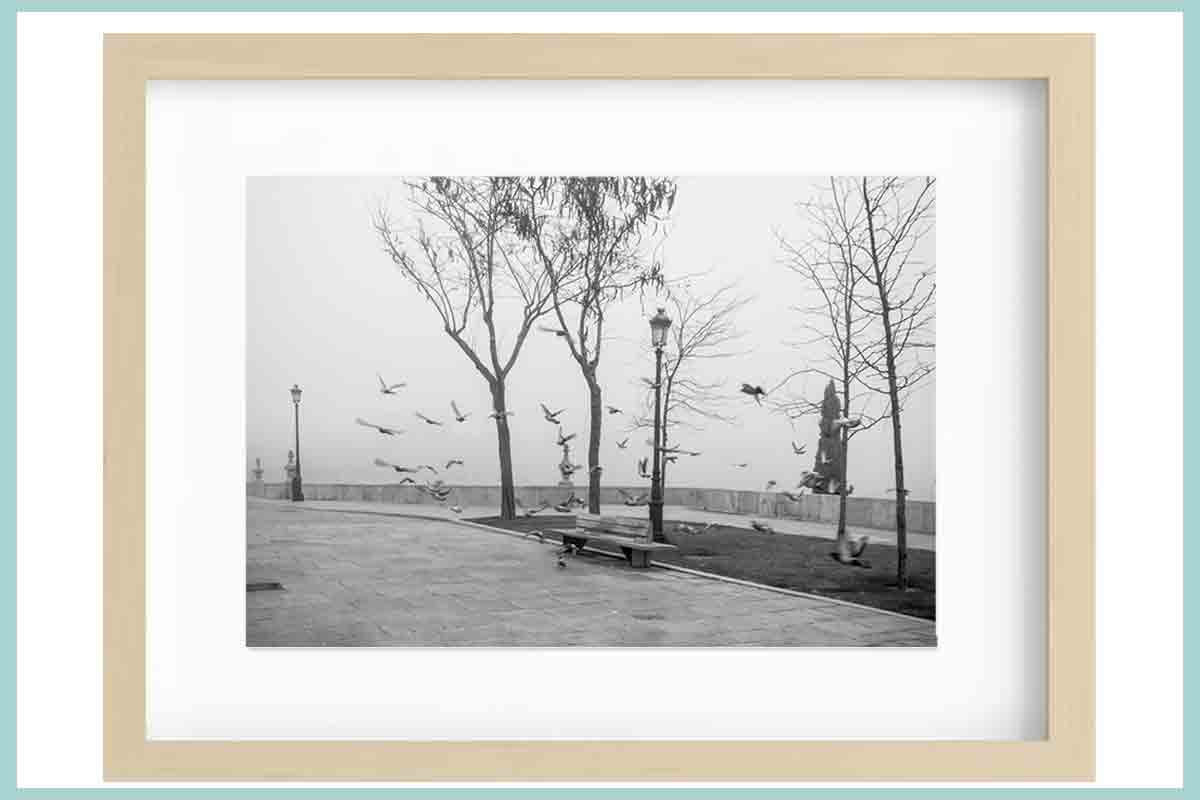 Niebla - Imagen 4