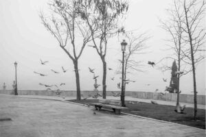Niebla