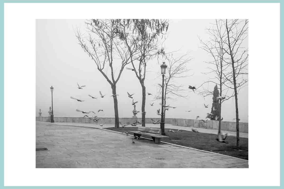 Niebla - Imagen 3
