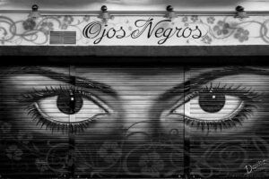 Ojos Negros